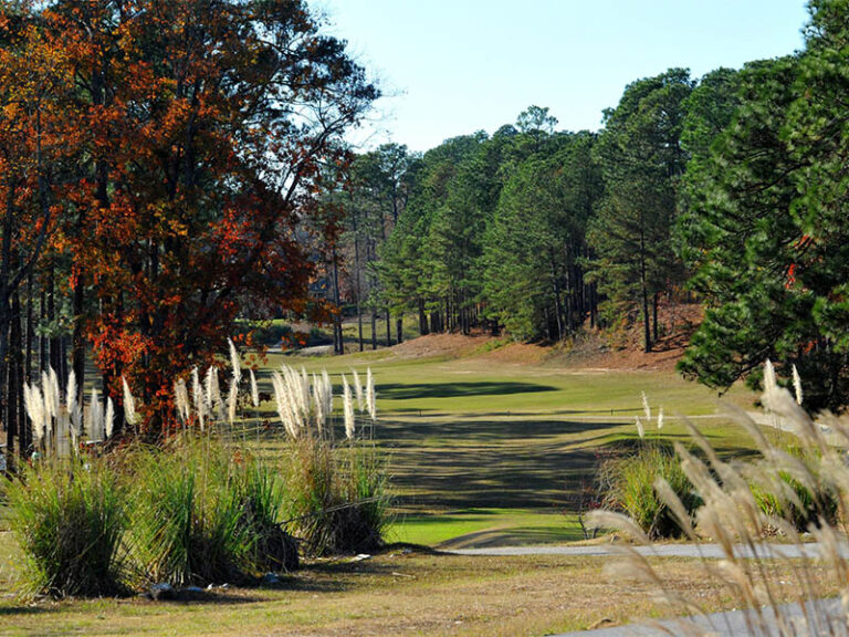 King's Grant Golf Club fairway view