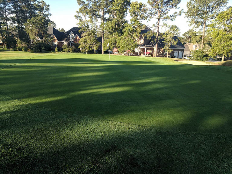 King's Grant Golf Club green with neighborhood background
